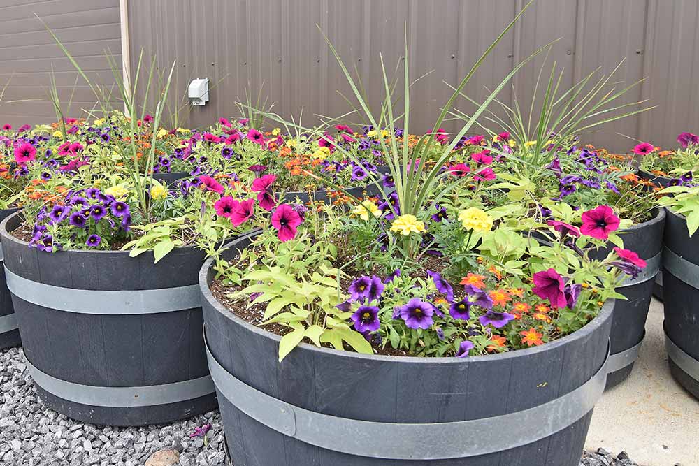 Planters.