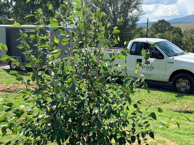 Landscaping service truck and trailer.