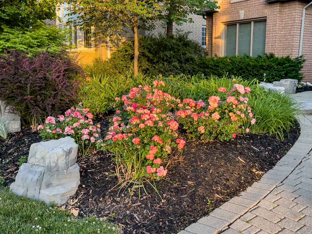 Commercial landscaping.
