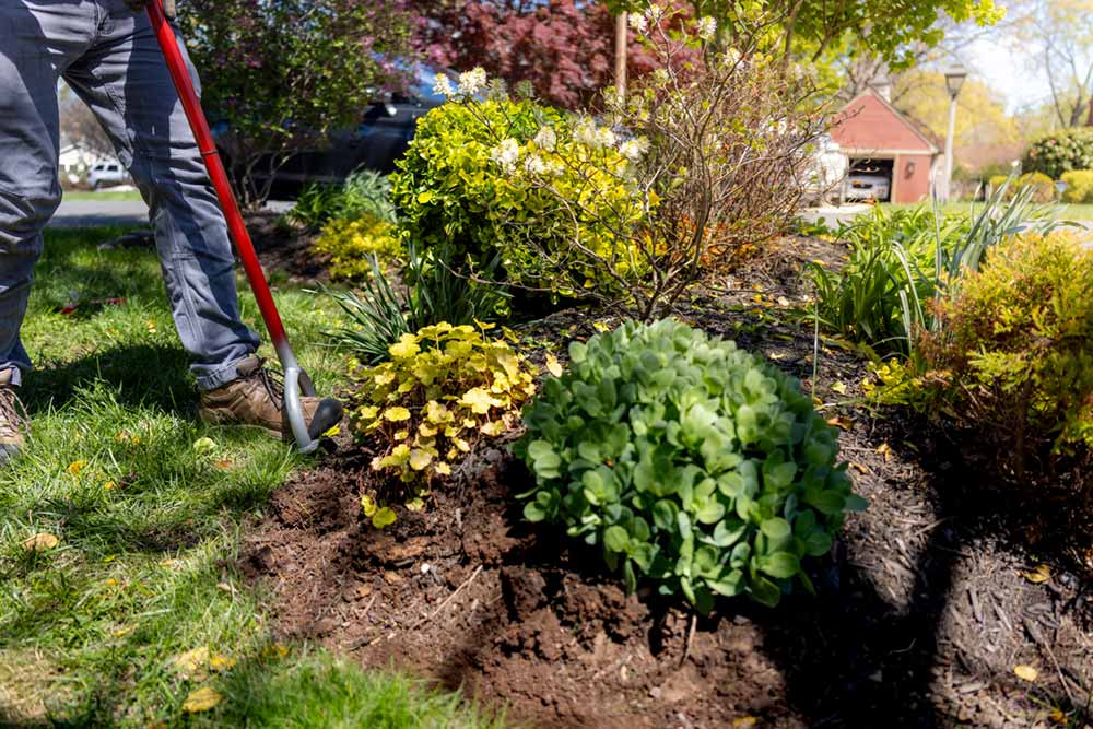 Residential landscaping.